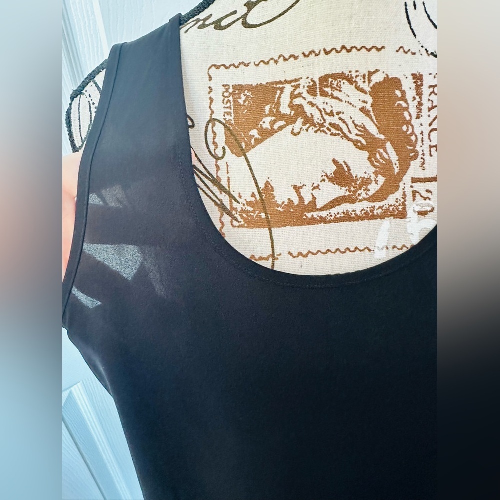 Express Black Sheer Sleeveless Blouse - Picture 4 of 6